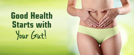 Gut Health